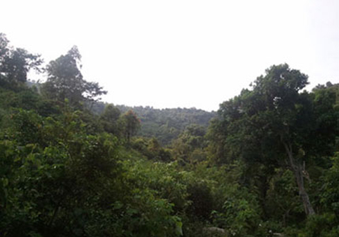 Lang-Son-1-jpg-1356187267_500x0.jpg